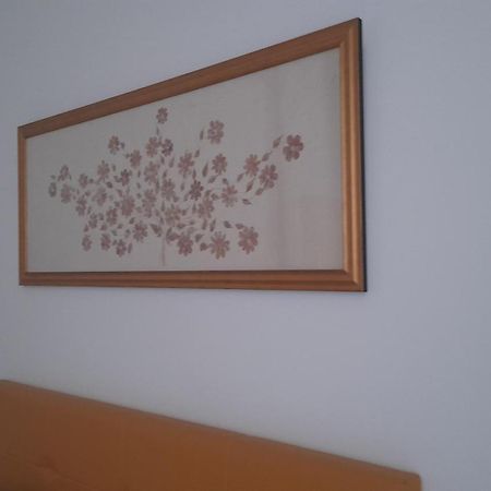Nonna Vittoria Apartment 萨莱诺 外观 照片